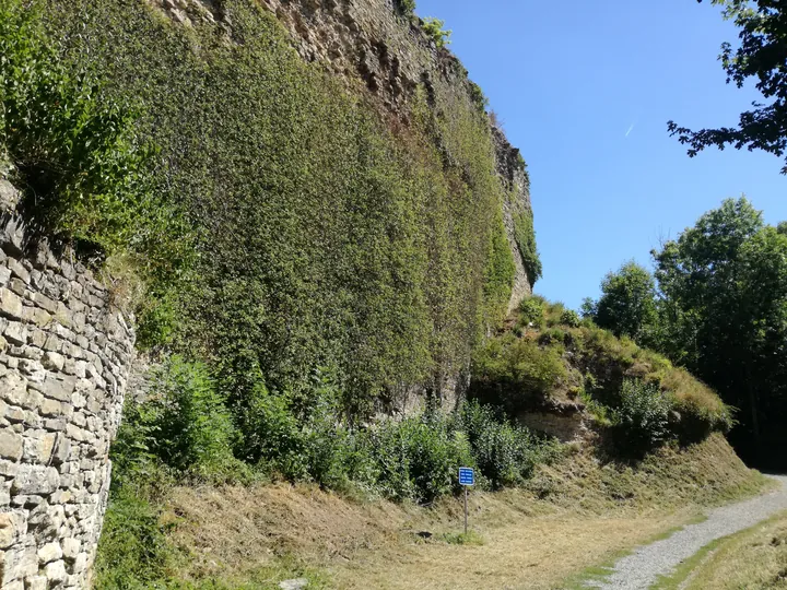 Castle of Franchimont (Belgium)